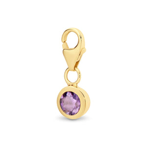 Richie Paws yellow gold February Birthstone Clasp Pendant amethyst