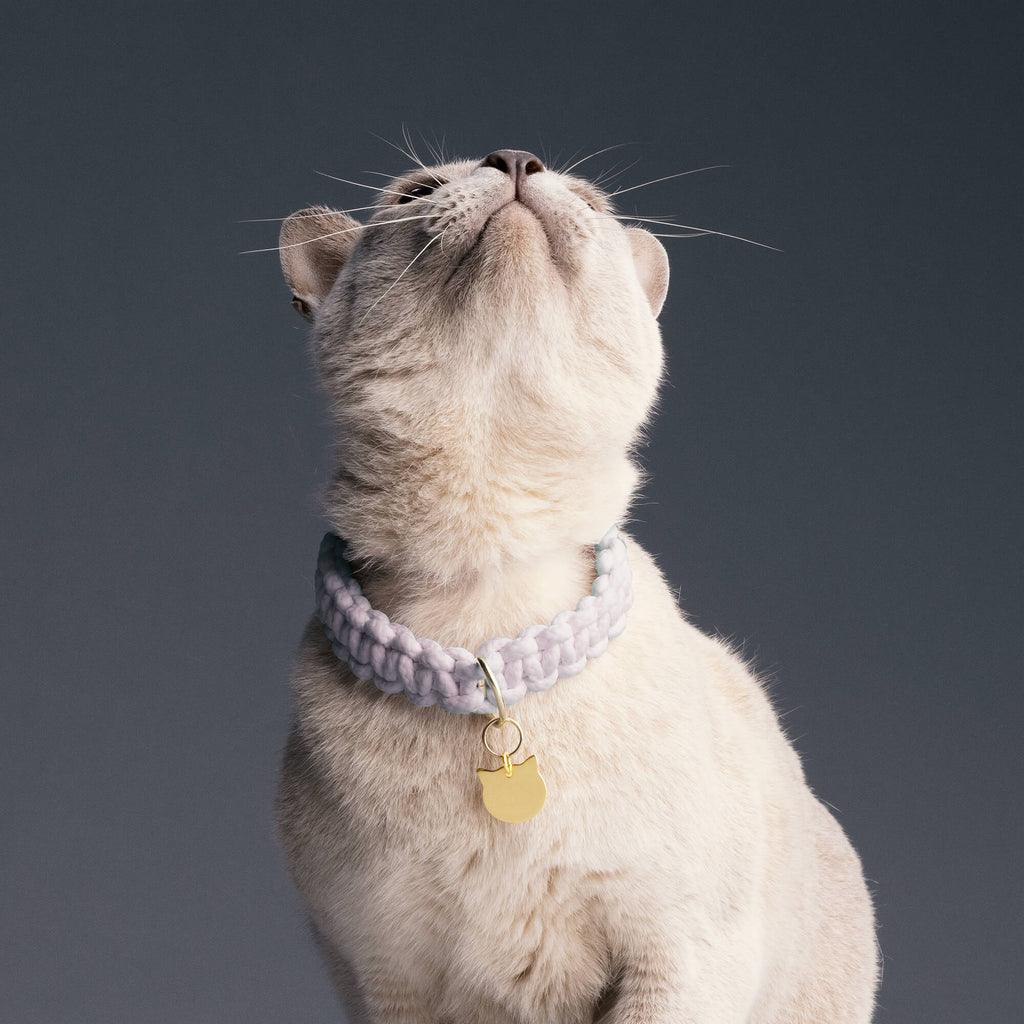 Cat posing wearing a Richie Paws solid gold cat shape name pendant